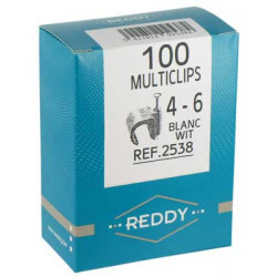 Reddy 2538