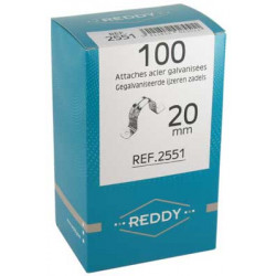 Reddy 2551
