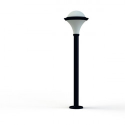 Roger Pradier 119011065