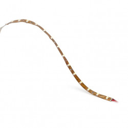 Leds-C4 91-5572-00-00
