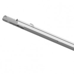 PIL P310561