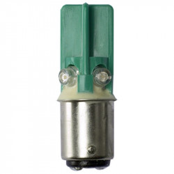 Grothe 38666