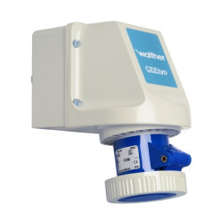 Wallbox 119509