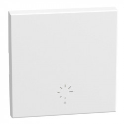 Bticino YW4915MH2AD