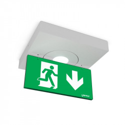 Linergy L99193-B-PICTO