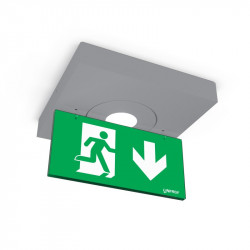 Linergy L99193-G-PICTO