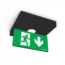 Linergy L99193-N-PICTO