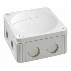 Vander Elst 10060536