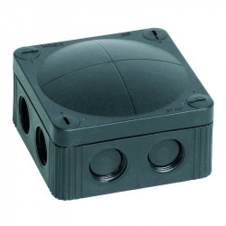 Vander Elst 10060580