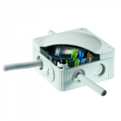 Vander Elst 10061185