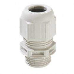 Vander Elst 10061789