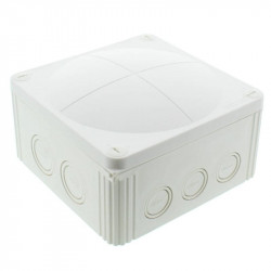 Vander Elst 10062211