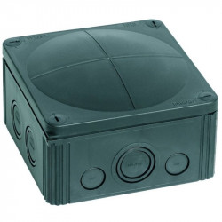 Vander Elst 10062215