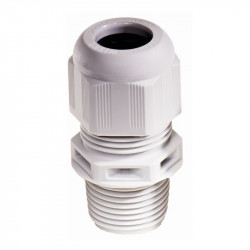 Vander Elst 10062656