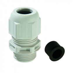 Vander Elst 10064980