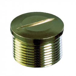 Vander Elst 10065079