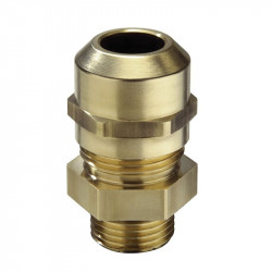 Vander Elst 10065106