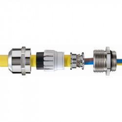 Vander Elst 10065956