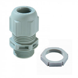 Vander Elst 10066524