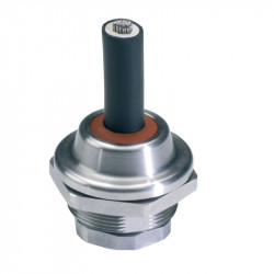 Vander Elst 10101857