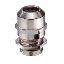 Vander Elst 10104296