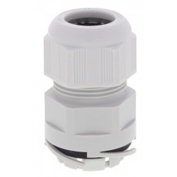 Vander Elst 10112629