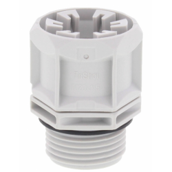 Vander Elst 10112715