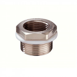 Vander Elst 50065658