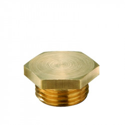 Vander Elst 50084677