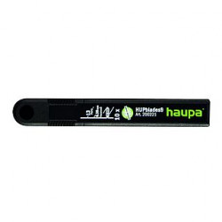 Haupa 200221