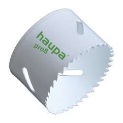 Haupa 231910