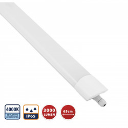 Huppertz A-STARLED218