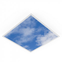 Ledvance PLSKYDA600X1