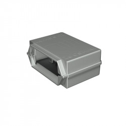 Zucchini 50403101