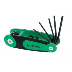 E-Robur 221201